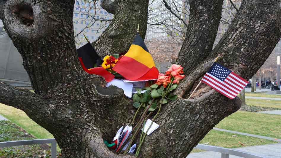 Pray America Great Again 911 Survivor Tree Following Brussels Terrorist Attacks