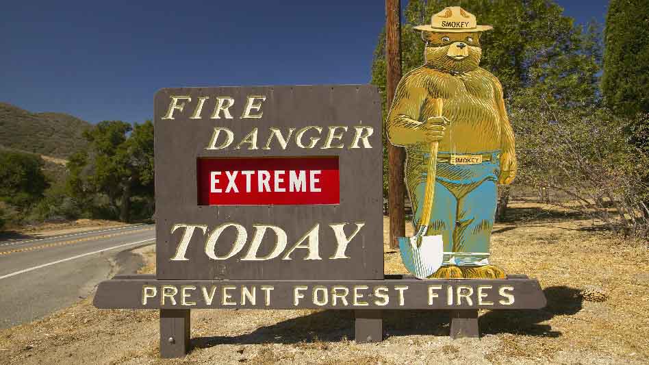 Pray America Great Again Smokey The Bear Prevent Forest Fires